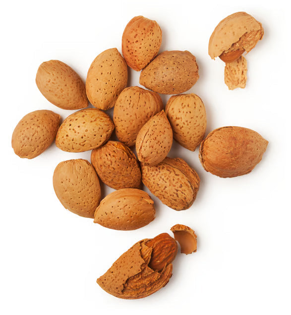 Prunus Amygdalus Dulcis Oil (Almond Oil)
