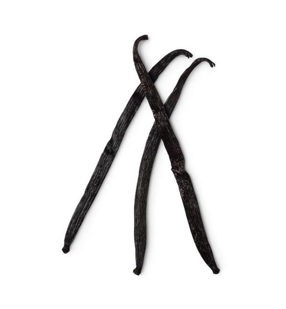 Vanilla Pod Infusion