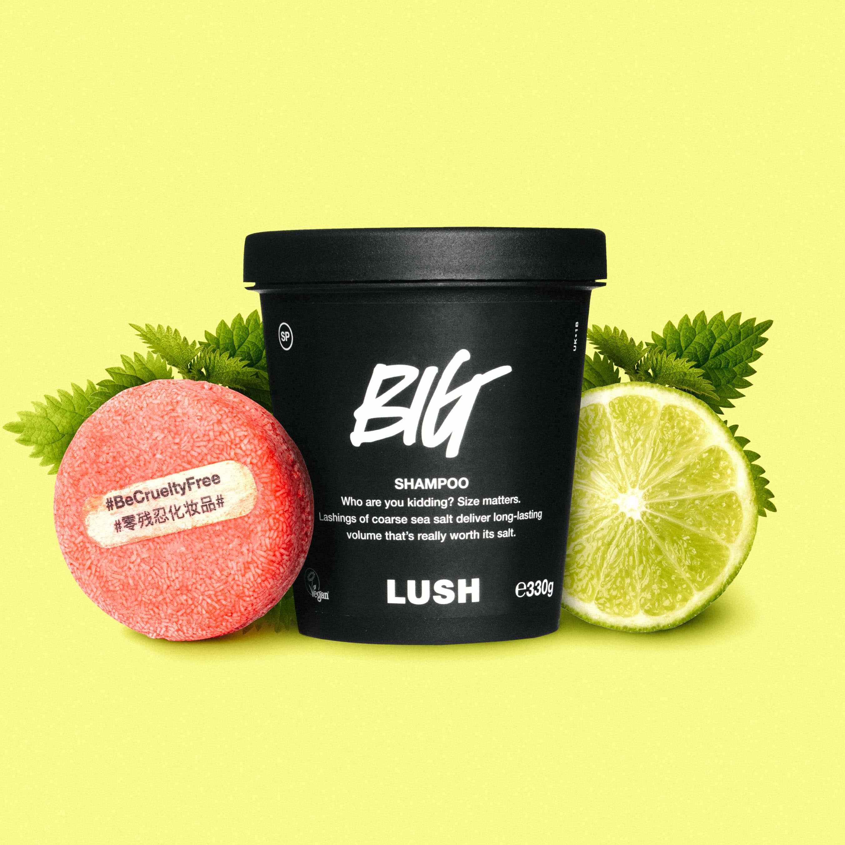Big - Shampoo