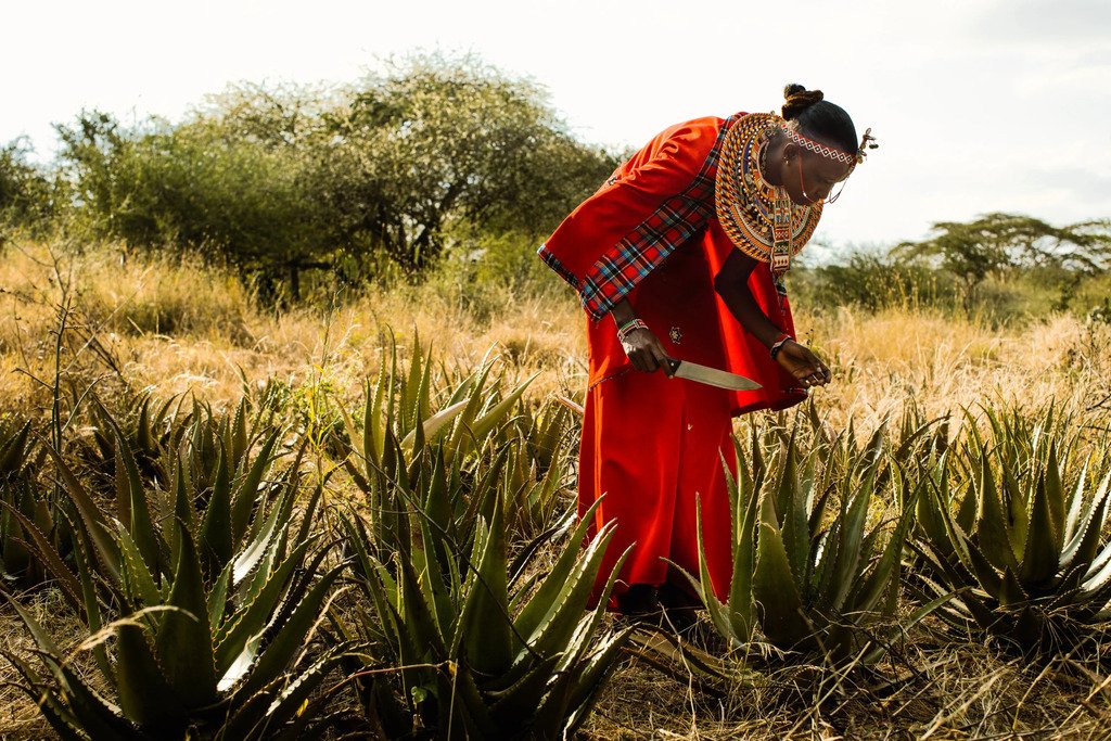 Fair Trade Month: Lush's Commitment to Ethical Sourcing