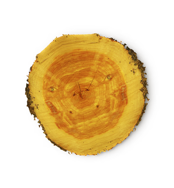 Juniperus Virginiana Wood Oil (Cedarwood Oil)