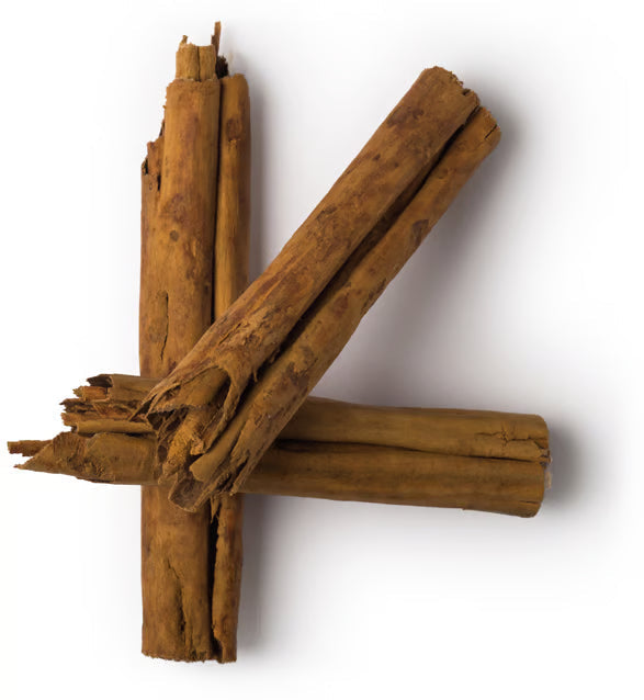 Cinnamomum Zeylanicum Leaf Oil (Cinnamon Leaf Oil)