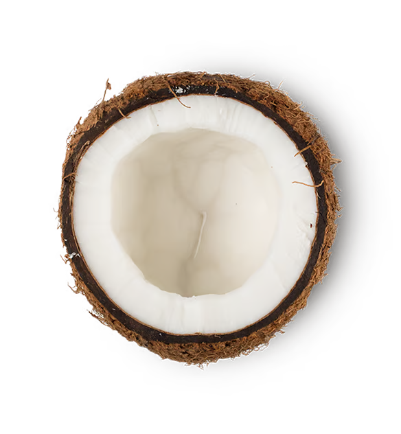 Coconut Vinegar