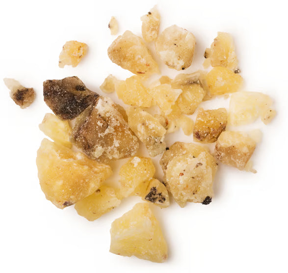 Canarium Commune Gum Oil (Elemi Oil)