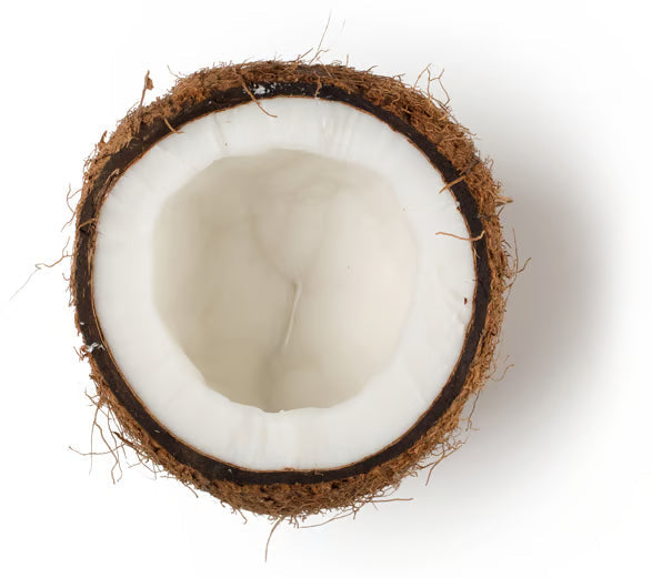 Rapeseed Oil; Coconut Oil