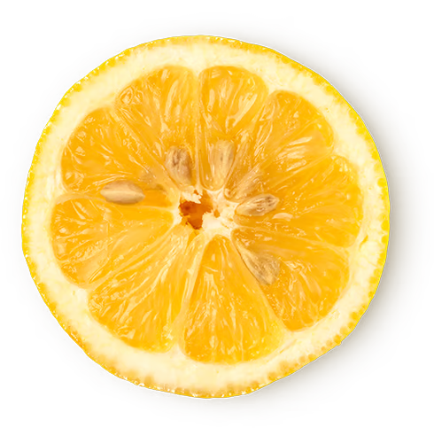 Fresh Organic Lemon Infusion