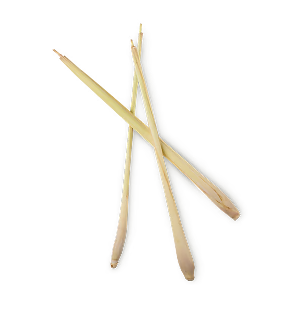 Cymbopogon Flexuosus Leaf Oil (Lemongrass Oil)