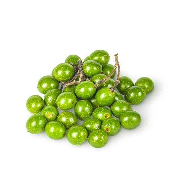 Litsea Cubeba Fruit Oil (Litsea Cubeba Oil)