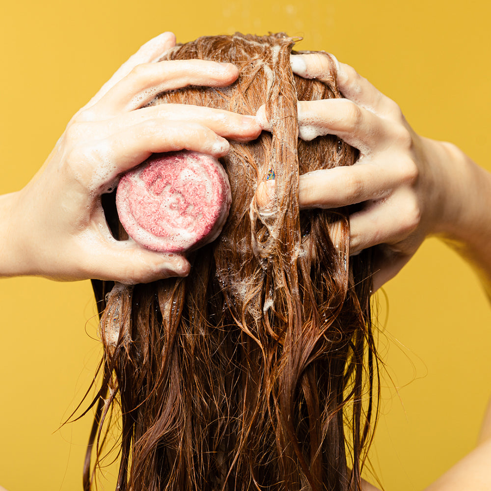 Shampoo Bars