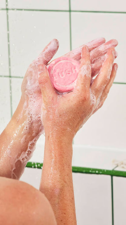 Snow Fairy Solid Shampoo