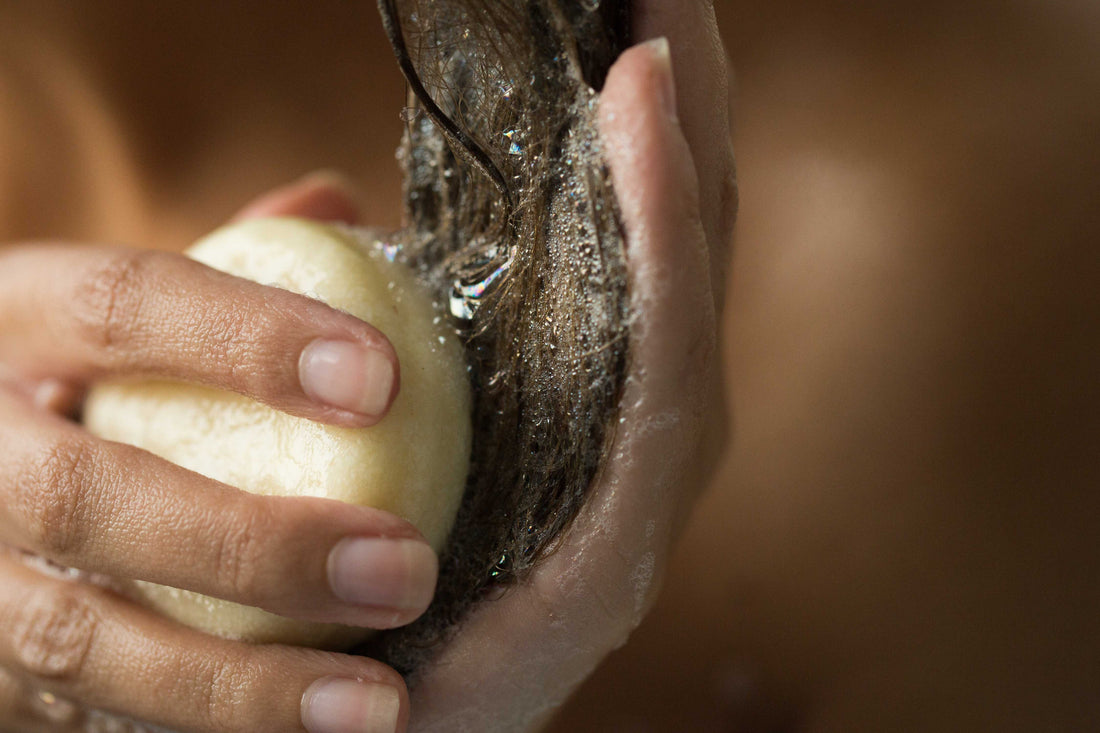 Honey I Washed My Hair