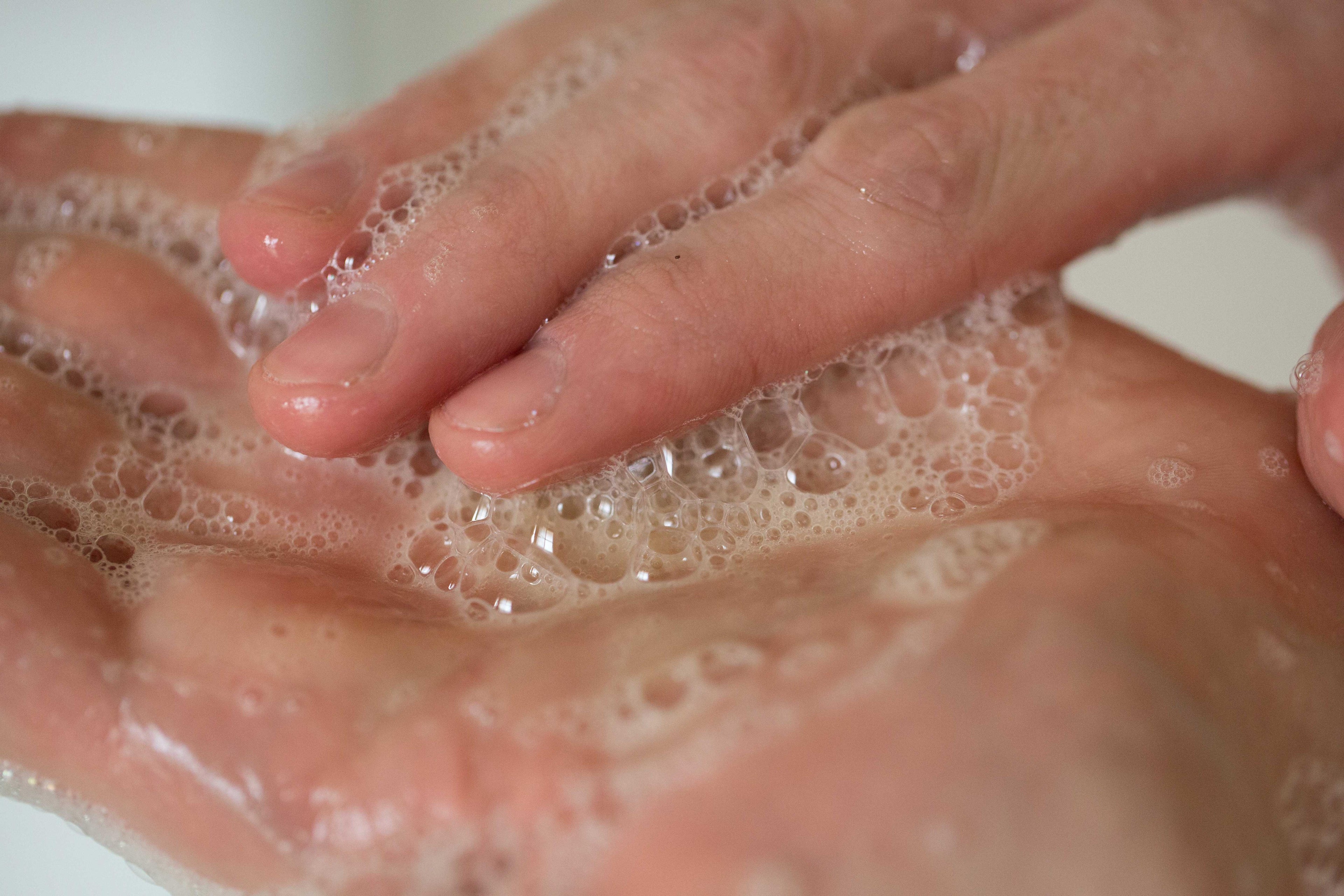 هوني أي وشد ذا كيدز