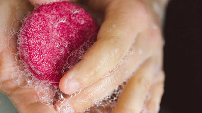 Jason And The Argan Oil Shampoo Bar