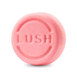Snow Fairy Solid Shampoo