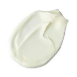 Sun Companion Sunscreen Lotion