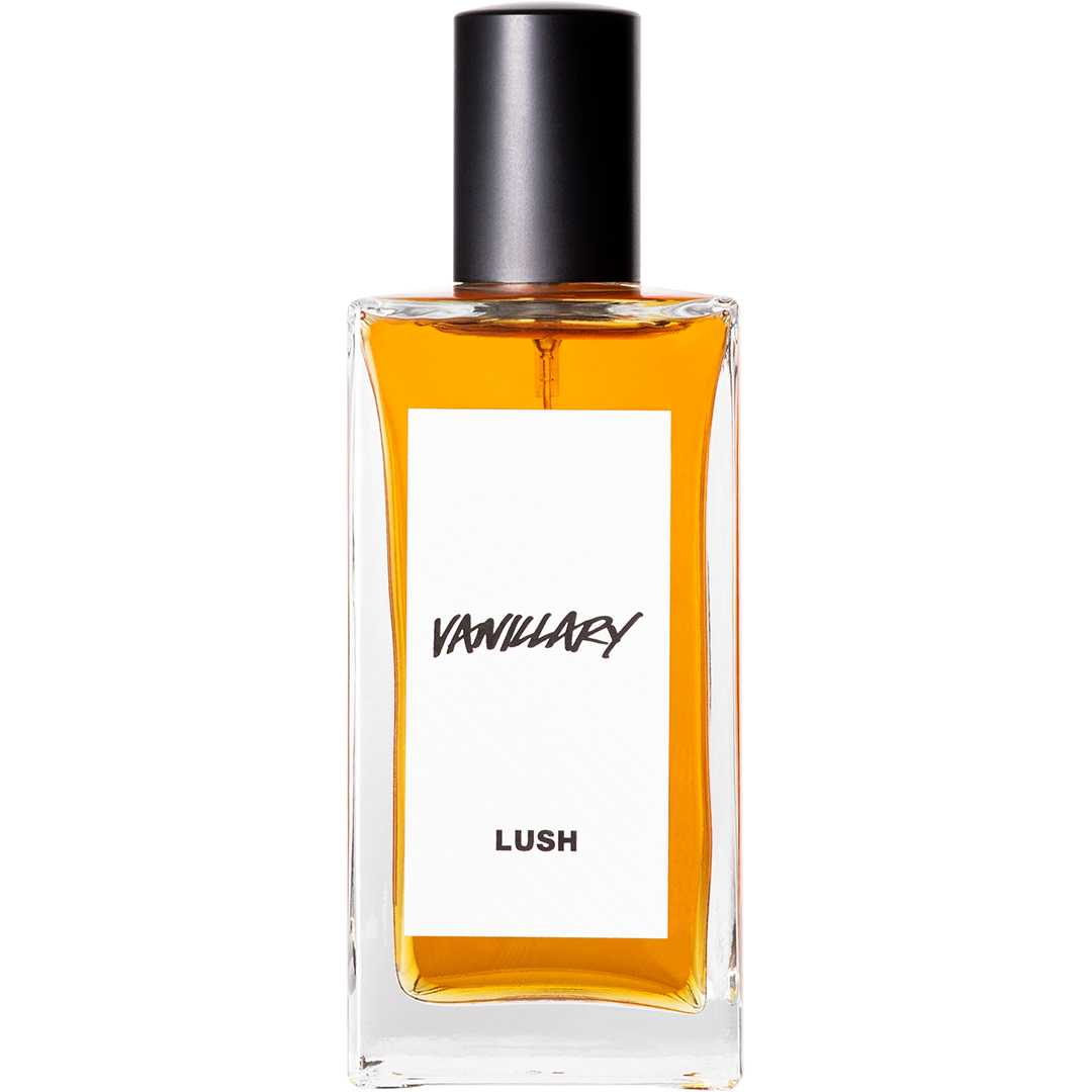 ラッシュ　VANILLARY パフューム　100mL Vanillary Perfumes – Lush Saudi Arabia
