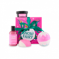 Snow Fairy Gift