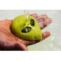 Alien Bubble Bar