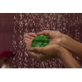 Frog Prince Shower Jelly