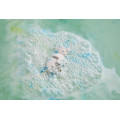 Frosty the Snowman Bath Bomb