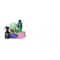 Lord of Misrule