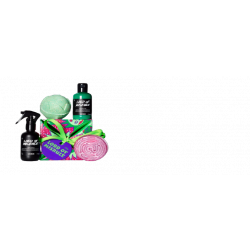 Lord of Misrule