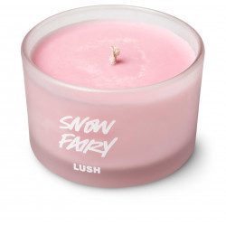 Snow Fairy